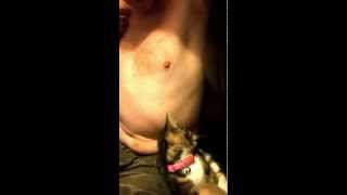 Cat with Nipple Issues Part 1 Cat with Nipple Issues Part 1