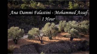 Ana Dammi Falastini - 1 hour