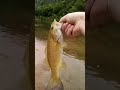 most of the fish I have cought back in the spring and summer