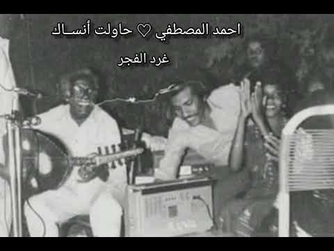 احمد المصطفي  حاولت أنساك
