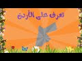تعريف الاطفال على الاردن بطريقة سهلة وممتعة