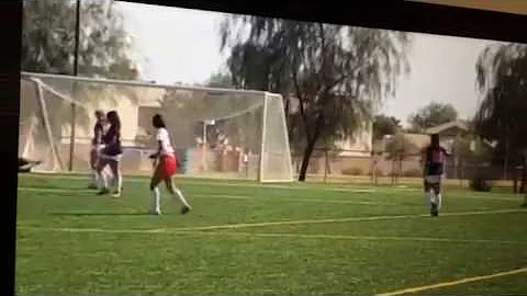 Sarah Saxe (2019 GK) 3/17/17 save