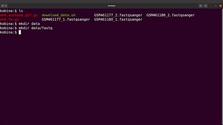 linux for beginners   how to move files to another directory