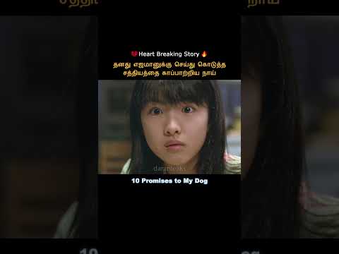 The dog who kept his promise to his owner #shorts #short