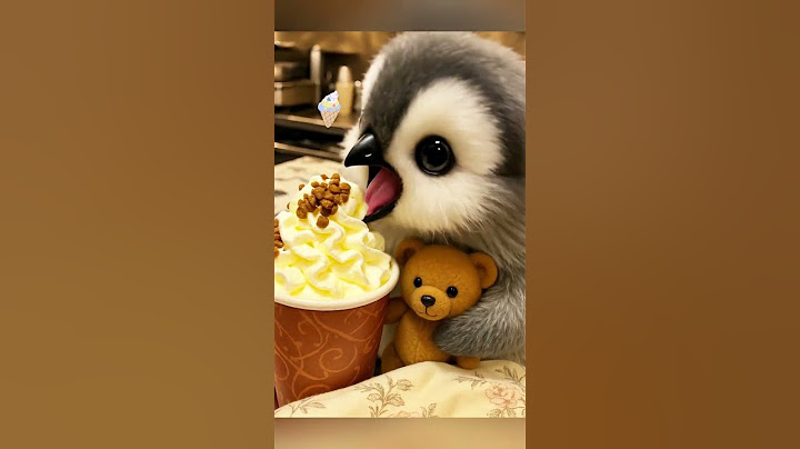 OH~So Cute! Baby Penguin eating ice cream #cute #adorable #pet #penguin #babyanimals #fluffy