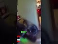 Bodycam: Mother and Daughter Try To Kill Dad in Tennessee
