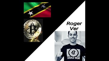 (Pt.1) Korean BBQ: Roger Ver Roasts Anti-BCH Fanboy & BlockStream Zombie - BitCoin Gangstas