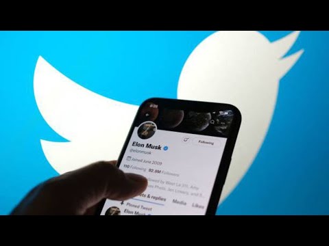 Elon Musk Overpaid for Twitter; Dan Ives Elon Musk Overpaid for Twitter; Dan Ives