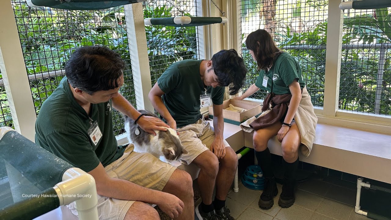 Calling all Oʻahu teens! These summer volunteer spots fill fast: Photos