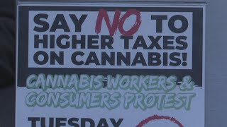 Second lawsuit challenges Michigan marijuana wholesale tax