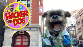 Hacker T.Dog visits the Ghostbusters fire station in New York 