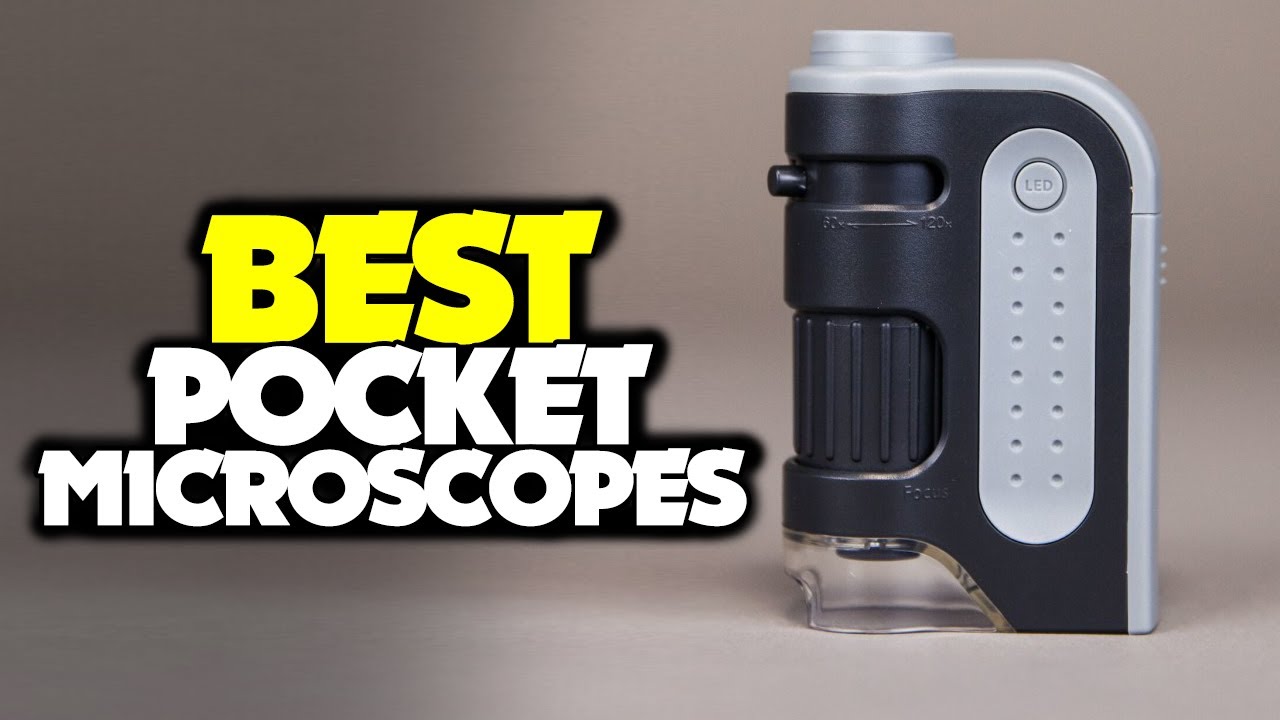 TOP 6: BEST Pocket Microscopes of 2021 