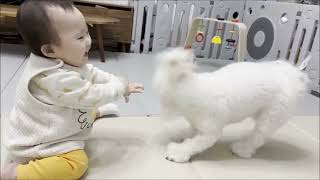 Funny babies Vidoes😀Try To Not Laugh with top funny Baby video😂baby funny🥰#shortvideo #viral #funny