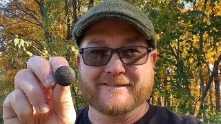 JP Hunts Restorations Civil War button repair!!!Step by Step!!!!! Civil War Eagle Button Restoration