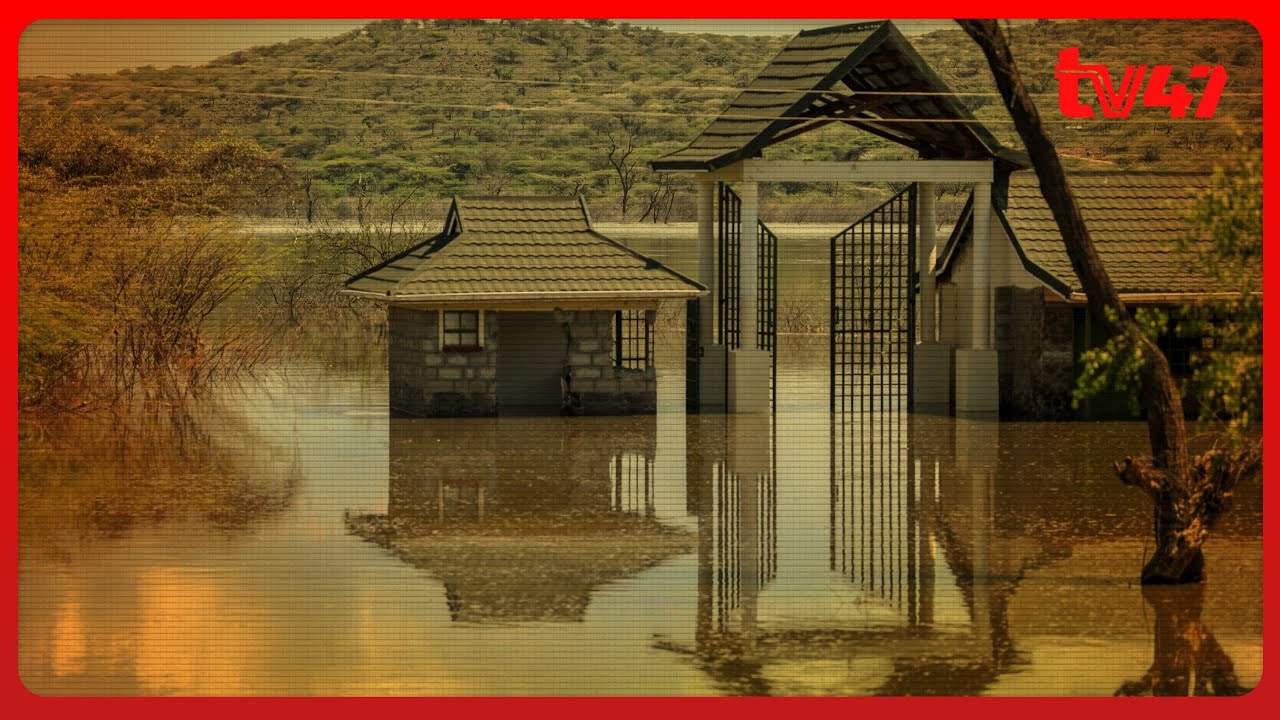Lakes Baringo & Bogoria continue to rise bringing the two water bodies dangerously close to merging