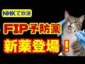 【猫の難病】FIPの予防薬？治療薬？話題のOU-500をわかりやすく解説｜第154話＠猫伝染性腹膜炎