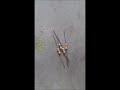 How to Measure Resistors Using a Multimeter – Practical Tutorial.