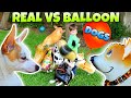 Balloon Dogs VS Real Dogs! We Inflate our Puppy Walking Balloons! Is YOUR Pet An Air walker BALLOON?