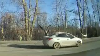 Пьяный водитель Hyundai сбил насмерть деда. Real Video