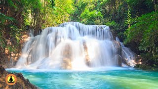 Relaxing Zen Music, Stress Relief Music, Sleep Music, Meditation Music, Study, Waterfall ☯3749