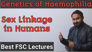 Genetics of Haemophilia | Sex Linkage in Humans | Class 12 Biology