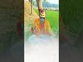 एक राम भक्त की कहानी 🚩🙏 जय श्री राम ll राम नवम ll राम जी स्टेटस #shorts #ram