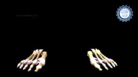 ما تيسر من سوره الانفطار بصوت الشيخ مصطفى هلال