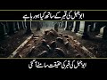 What Is Happening With The Grave Of Abu Jahal Urdu Hindi