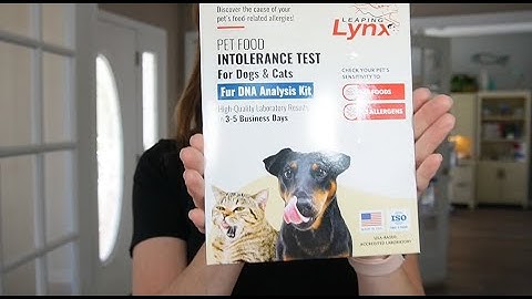 Leaping Lynx Pet Food Intolerance Test Unboxing