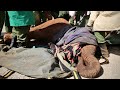 Rescue of Orphaned Elephant Ahmed | Sheldrick Trust