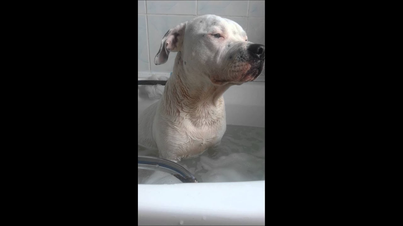 Chance falling asleep in the bath YouTube