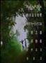 Life Togeter