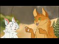 Warrior cats vine map part 39