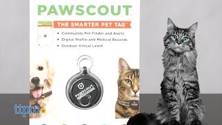 pawscout smart tag