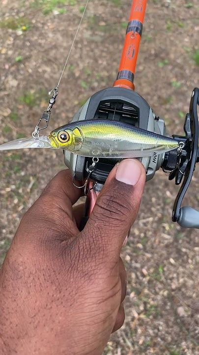 Mega bass flap slap #youtubeshorts #fishinglures #bassfishing @Megabass_inc