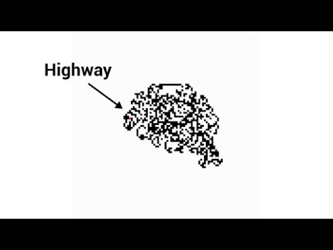 Fourmi de Langton - Simulation