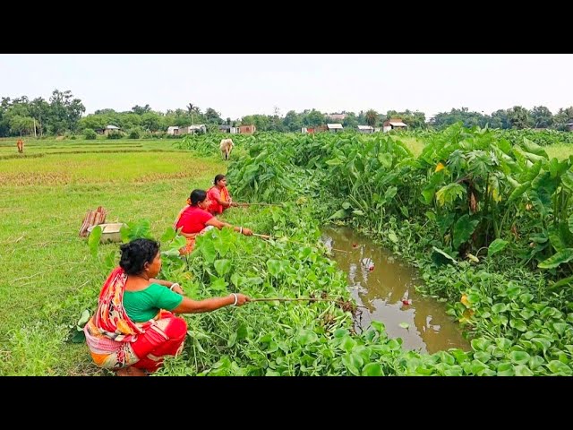 Fishing Video || Don't believe it until you see the endless fish stocks in the village canal class=