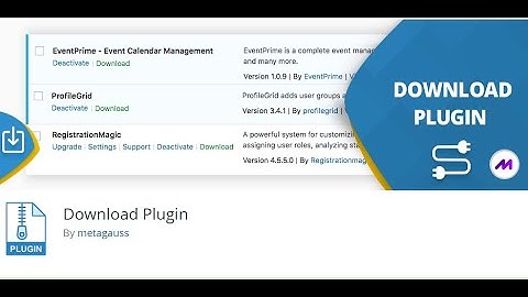 How to Download Plugins and Themes from Dashboard