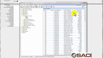 Microsoft Dynamics GP FRx Sales Report