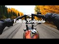 Relaxing Motorcycle Ride in the Colorado Mountains | Harley Sportster Chopper RAW Engine Sound Only