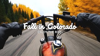 Relaxing Motorcycle Ride in the Colorado Mountains | Harley Sportster Chopper RAW Engine Sound Only