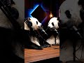 Two Pandas Start a Podcast but Won’t Stop Talking Over Each Other | Funny AI Animation | Nebula Shot