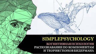 видео: Когнитивная психология восприятия #27. Модели распознавания по компонентам и теория геонов Бидермана картинка: Когнитивная психология восприятия #27. Модели распознавания по компонентам и теория геонов Бидермана