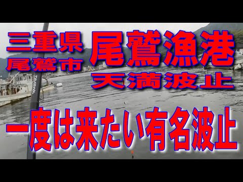 #18三重県尾鷲漁港天満波止一度は来たい有名波止ファミリー家族連れサビキ釣りに良いです車横付け釣りできます水面で豆アジ中アジ小サバコッパグレコッパチヌと小物色々釣れます