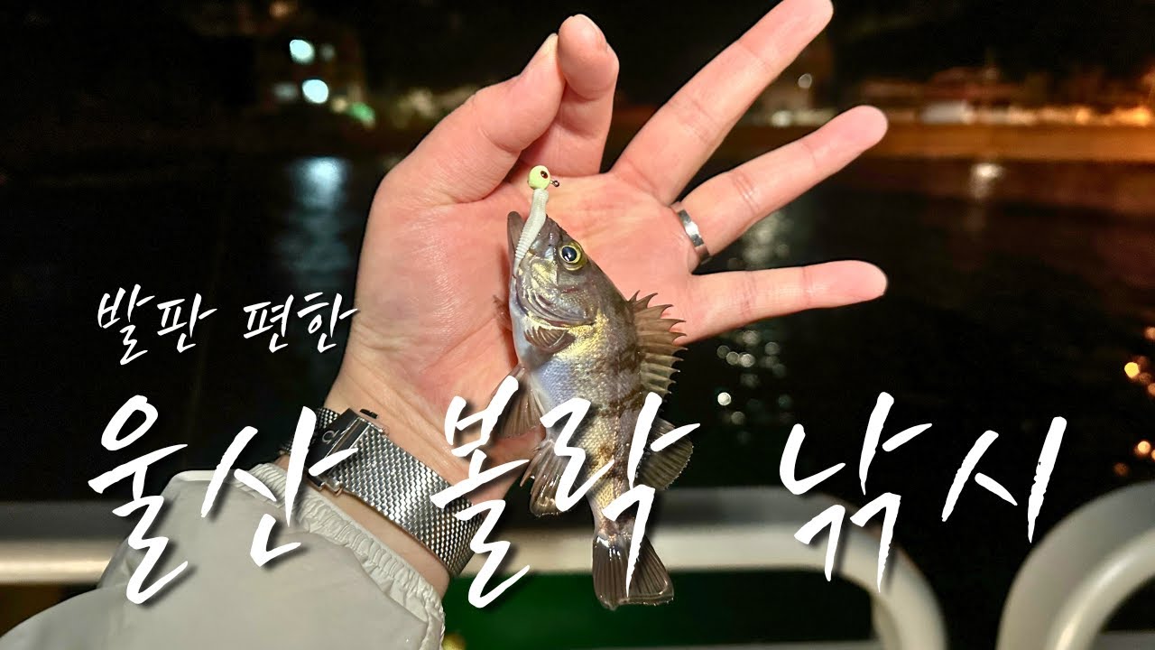 주차 후 1분! 울산 볼락 쉽고 편한 볼락 낚시