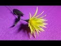 How to Make Yellow Paper flowers - Flower Making of Crepe Paper - Paper Flower Tutorial