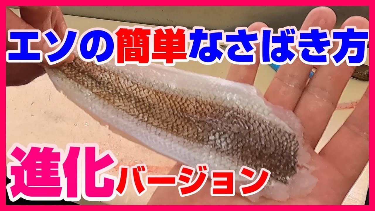 釣れる魚の一覧と食べ方 料理法 釣り船 新潟 上越 能生漁港 こうゆう丸