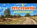 A Tési-fennsík csavargója - teljes film magyarul - 2016.09.30.