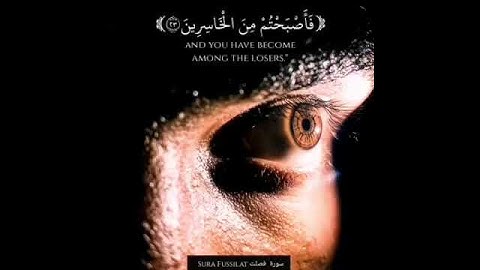 سورة فصلت (آية 22-23)