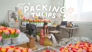 A Few Days of Packing 250+ Plushie Preorders